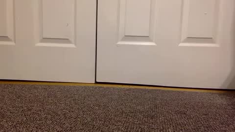 cash13bychanel online show from January 23, 5:56 am