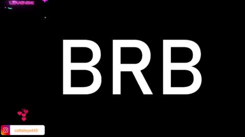  Catta online show from January 21, 6:43 am