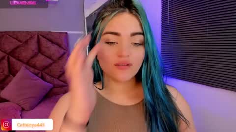  Catta online show from February 19, 4:23 am