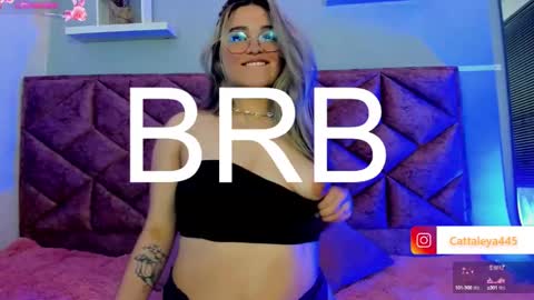  Catta online show from March 4, 6:26 am