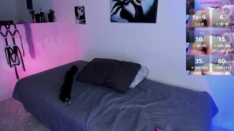 CattNamy online show from February 19, 3:38 am