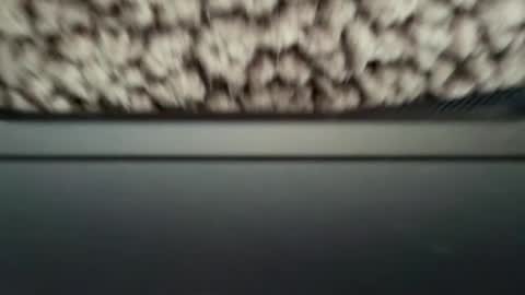 cenobitfor online show from March 10, 7:34 am