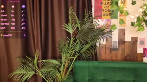 Lissa online show from February 1, 10:15 am