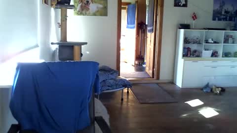 chefben666 online show from October 27, 10:37 am