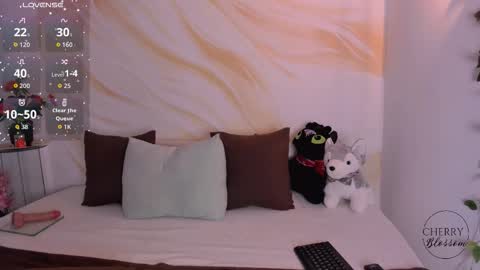 cherryblossomm1 online show from January 15, 10:51 pm