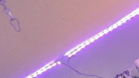 cheyblizzy online show from September 14, 1:30 am