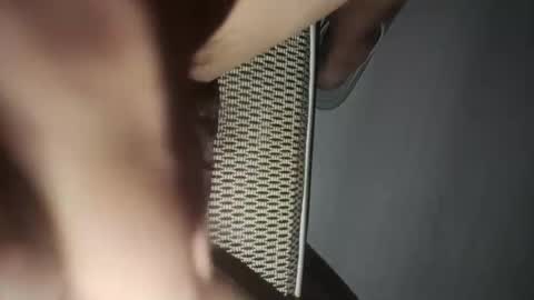 chinacock_16cm online show from August 5, 4:04 pm