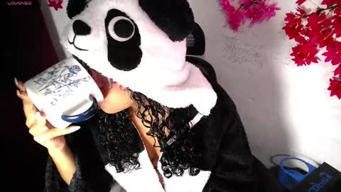 chleo_rosse online show from April 17, 3:42 am