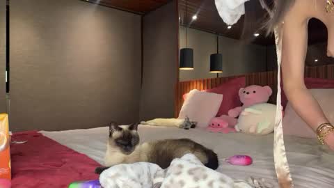 Snapshot of christinasage chatting on October 30, 12:11 am Christina Sage online show from October 30, 12:11 am