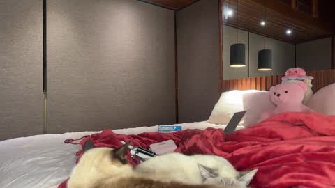 Snapshot of christinasage chatting on September 18, 4:05 am Christina Sage online show from September 18, 4:05 am