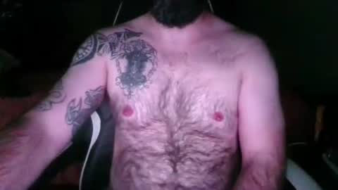 chub bear 99 online show from May 6, 9:48 am
