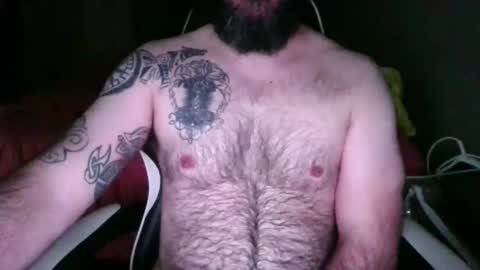 chub bear 99 online show from May 26, 10:54 am