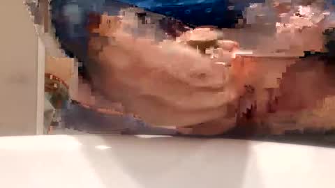 chule63 online show from January 25, 9:47 am