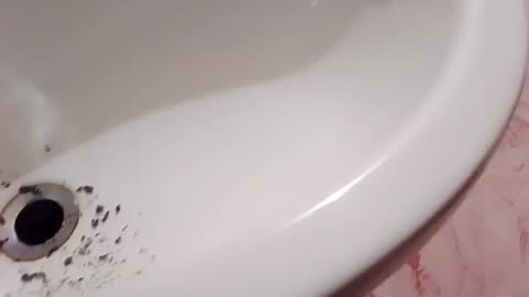 ciccilli online show from November 25, 5:34 pm