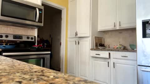 Cjd32 online show from October 12, 7:05 pm