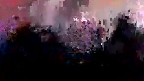 ck4813 online show from January 2, 2:54 am