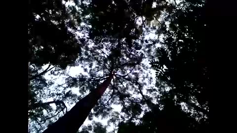 Matriarch Muse online show from January 26, 8:57 am