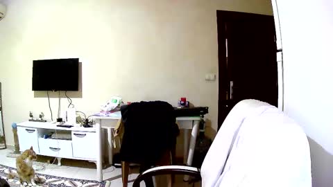 Snapshot of coldskull15 chatting on March 3, 12:17 pm coldskull15 online show from March 3, 12:17 pm
