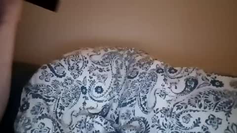 color233 online show from March 1, 8:56 am