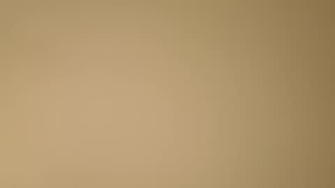 color233 online show from November 8, 12:24 am