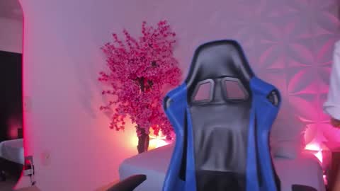  CORA  online show from November 25, 1:54 pm