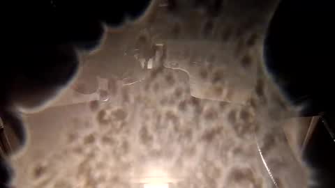 corbinroberts663 online show from October 22, 4:48 am