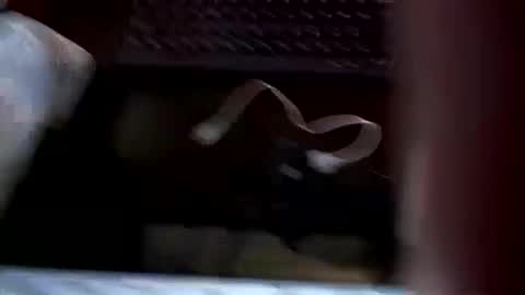 Harry online show from March 28, 9:05 pm