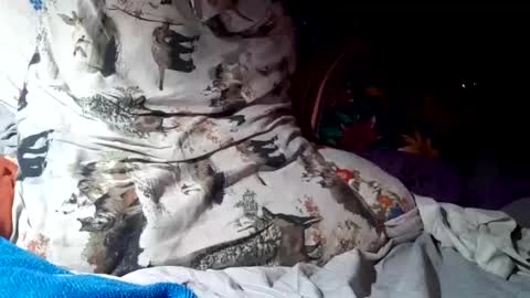 Cowboy-Ohiolook online show from October 27, 4:12 am