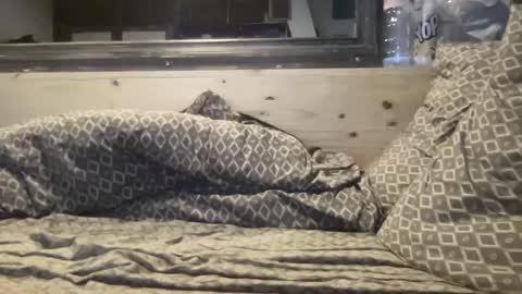 crapaud75018 online show from January 8, 6:20 am