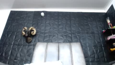 Hanna  online show from April 9, 10:54 am