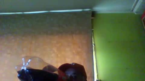 crmperez online show from November 16, 9:50 pm