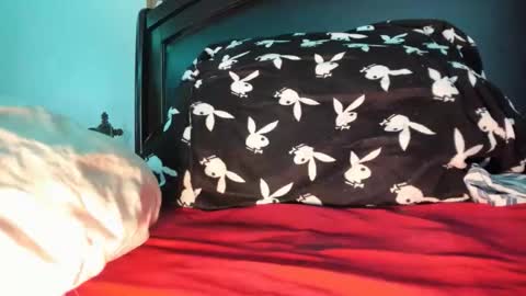 crodiee19 online show from February 7, 5:21 am