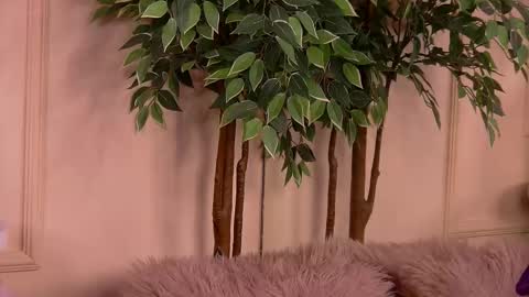 crystallred online show from February 18, 6:24 am