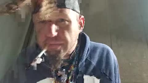 Feathers online show from December 1, 7:39 am