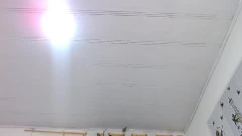 Pablo and emma online show from November 24, 11:14 pm