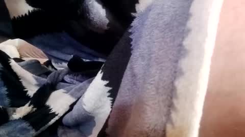 dagodex30 online show from December 4, 8:25 am