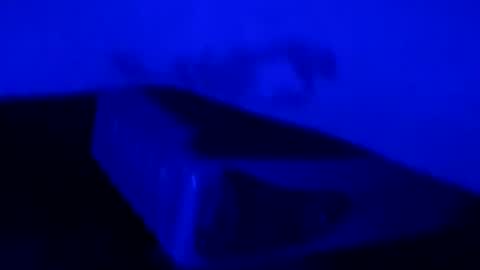 dailydouble3 online show from March 9, 2:27 am