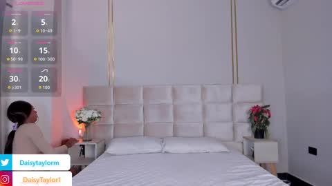 Daisy online show from November 17, 12:30 pm