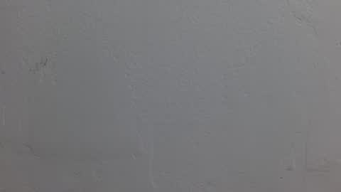 Dakota Johnson online show from November 8, 6:44 pm