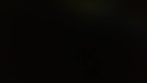 Damocles online show from January 16, 10:30 pm