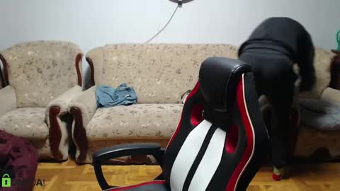 Daniel online show from February 9, 5:11 pm