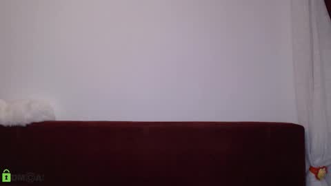 Daniel online show from November 29, 6:15 pm