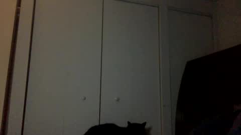 daniellbisous online show from February 5, 9:57 am