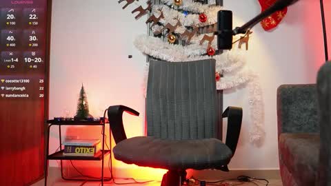 SEBAS online show from November 13, 4:26 am