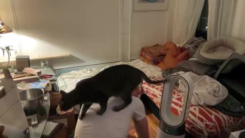 Snapshot of danteslife chatting on October 17, 11:31 pm Dante online show from October 17, 11:31 pm