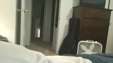 dapppper online show from January 13, 10:28 pm