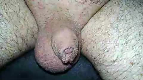 dapppper online show from August 5, 1:46 am