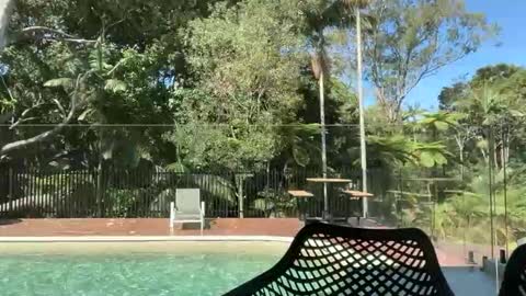 dartanian0001 online show from October 20, 3:55 am