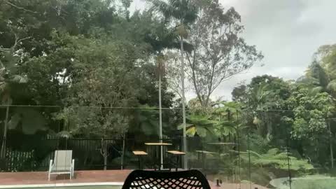 dartanian0001 online show from October 1, 2:21 am