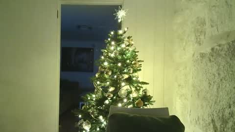 Dario online show from January 4, 6:19 pm